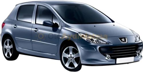 Peugeot 307 Makyajlı i̇ç aydınlatma seti led ampulü - Peugeot 307 2001-2010 LED Iç Aydınlatma Seti